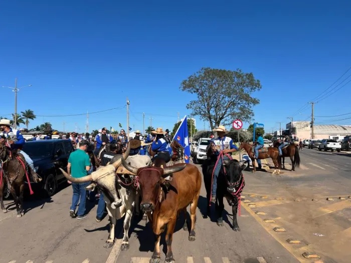 Câmara atualiza lei das cavalgadas em Primavera do Leste