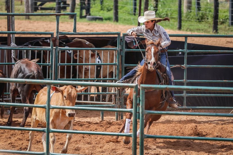 Semana do Cavalo vira evento oficial em Primavera do Leste
