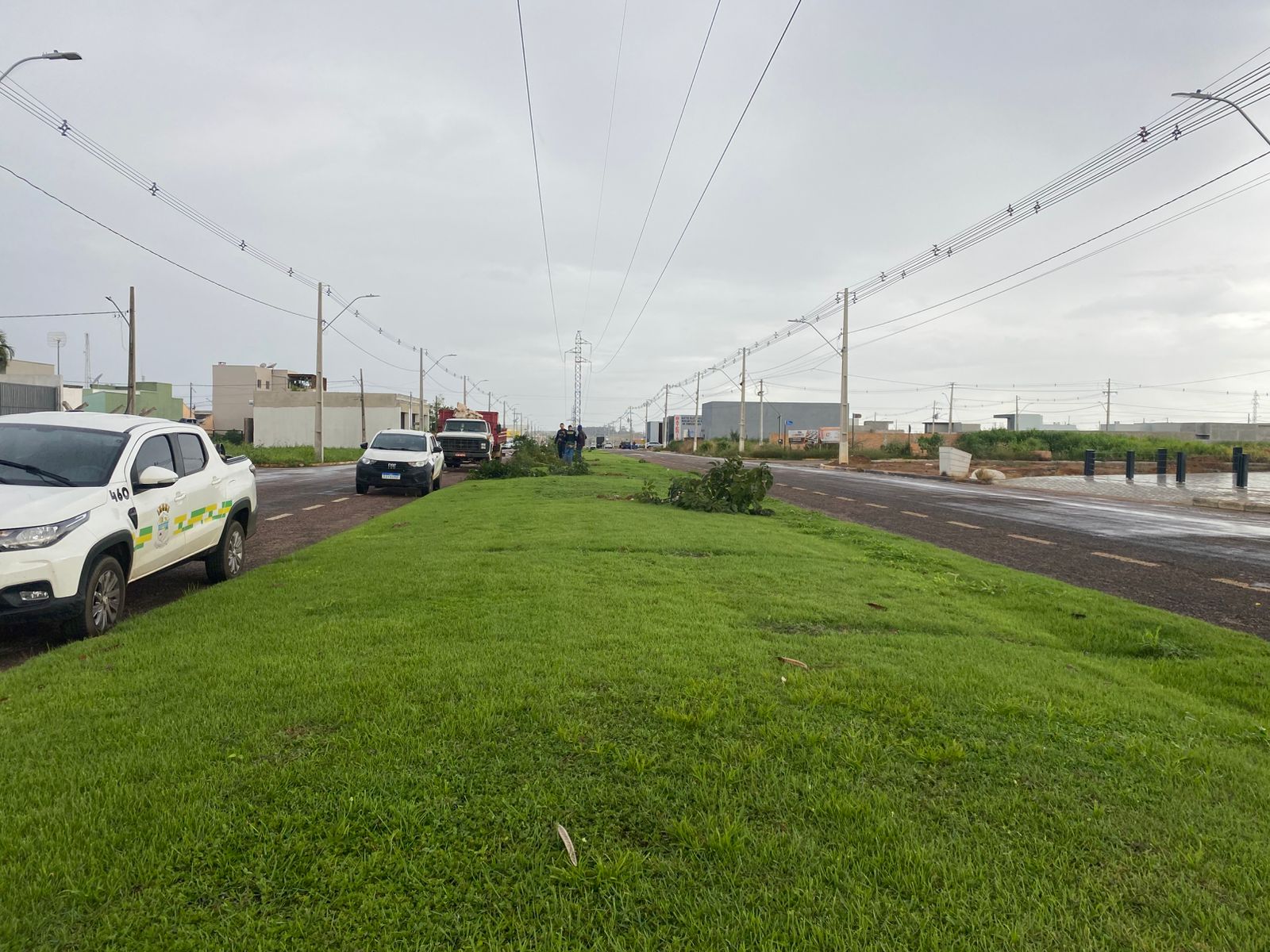 Corte de árvores na Av. Pupunha segue norma técnica