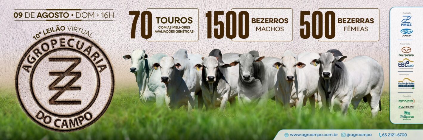 10º Leilão Virtual Agropecuária do Campo em Mato Grosso