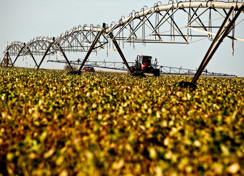 Agro brasileiro abre novos mercados em abril