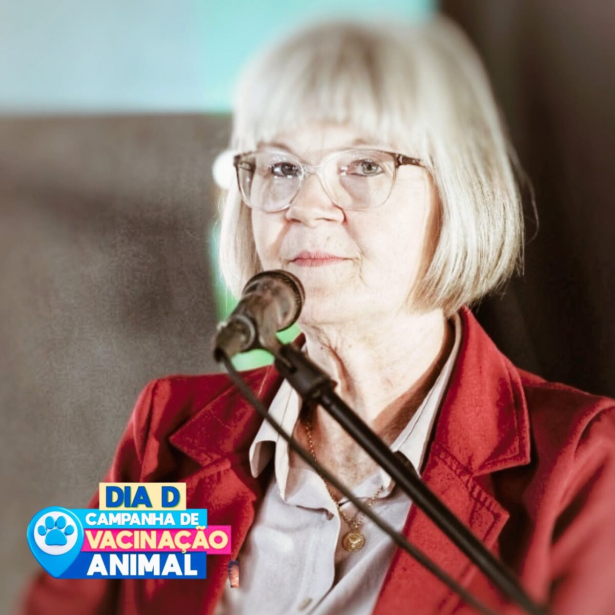 Alerta sobre vacinação de cães e gatos em Primavera do Leste