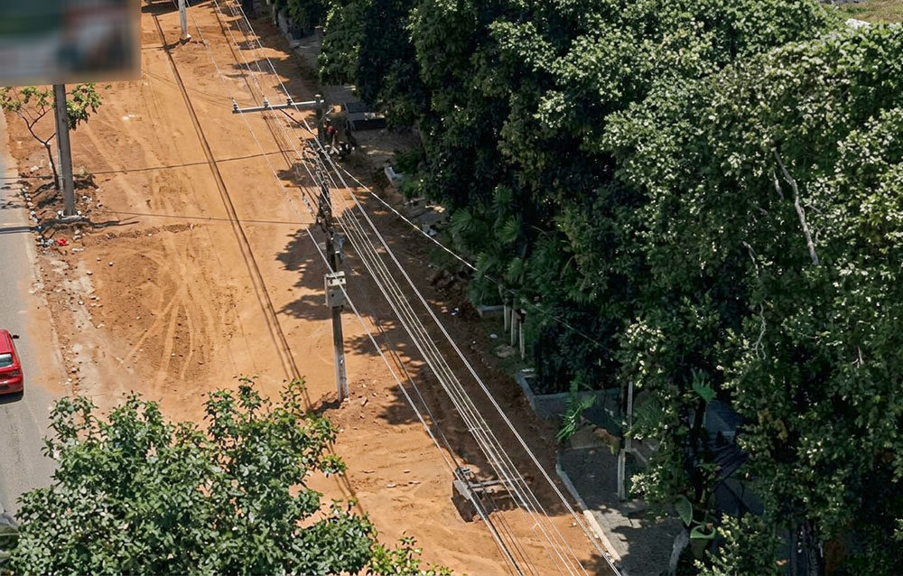 Árvores da Praça Cívica em Alta Floresta serão substituídas