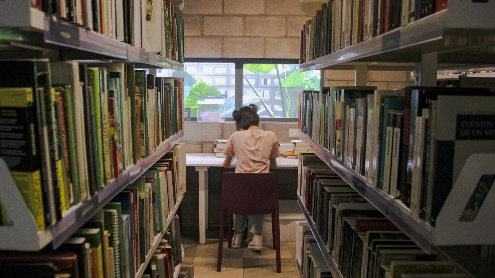 Bolsas de estudo de até 50% são abertas pela prefeitura em Água Boa