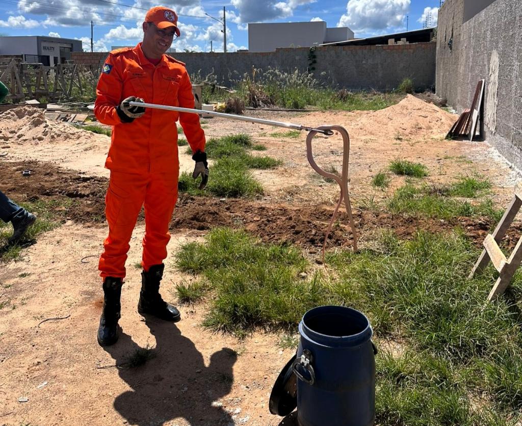 Bombeiros capturam serpente em obra no Buritis
