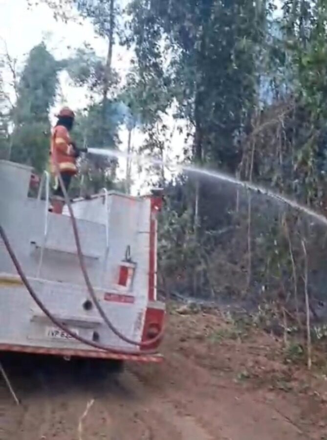Bombeiros combatem incêndio em vegetação na zona rural de Sinop MT