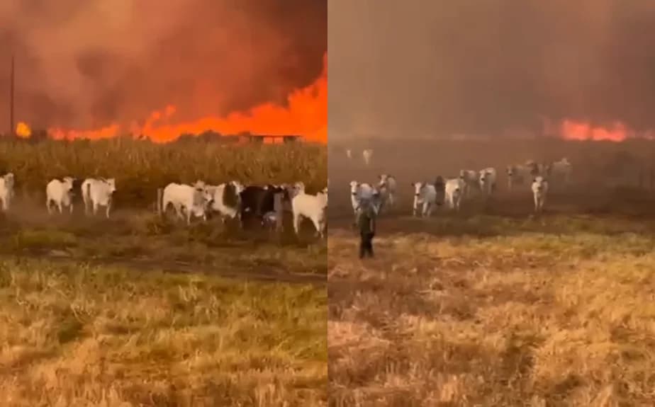 Bombeiros combatem incêndios e protegem áreas rurais em Mato Grosso