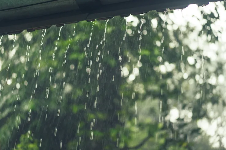 Calor intenso e chuva marcam esta quinta-feira em Alta Floresta