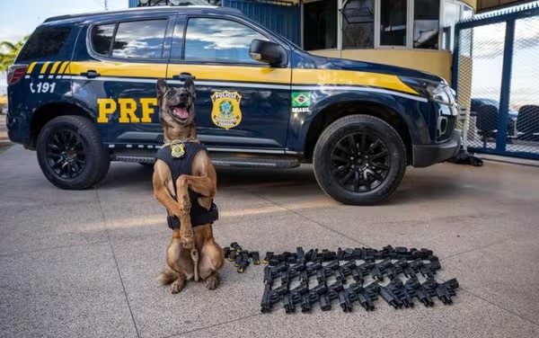 Cão farejador acha arsenal em ônibus e MT