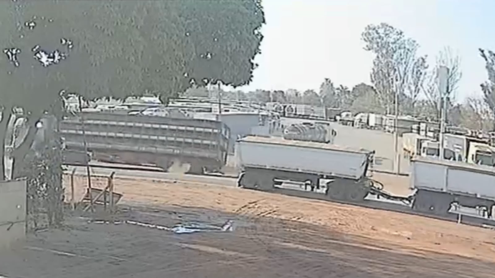 Carreta com 500 porcos tomba na Rodovia dos Imigrantes em MT