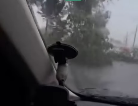 Chuva intensa derruba árvores e assusta motoristas em MT