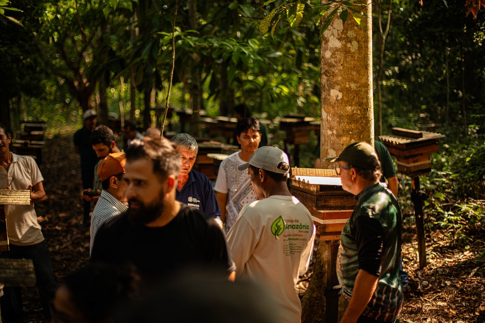 Criação de abelhas sem ferrão avança com capacitação em Alta Floresta
