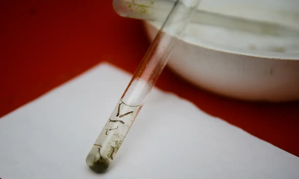 El Niño ameaça Mato Grosso com alta nos casos de dengue e chikungunya