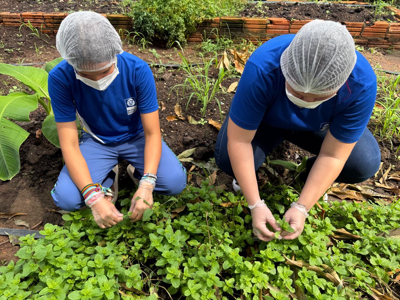 Escola em Barra do Garças transforma plantas do Cerrado em MT