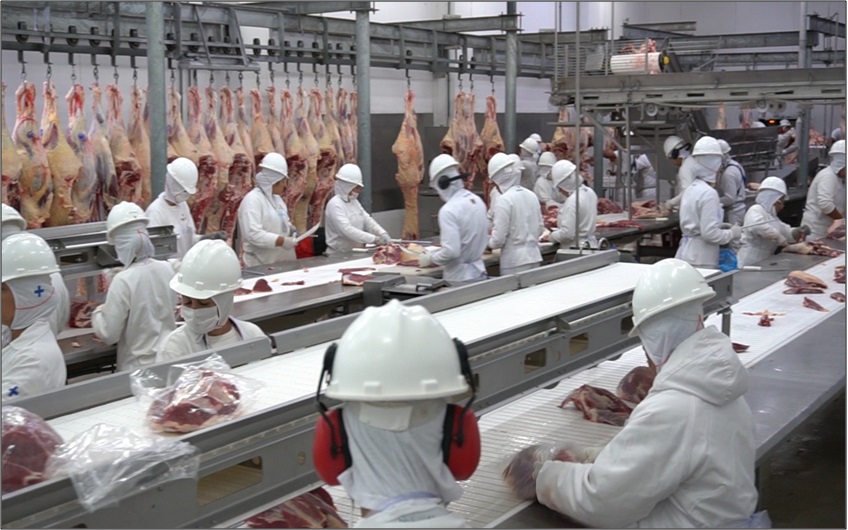 Exportação de carne bovina em MT cai 11,75% em agosto