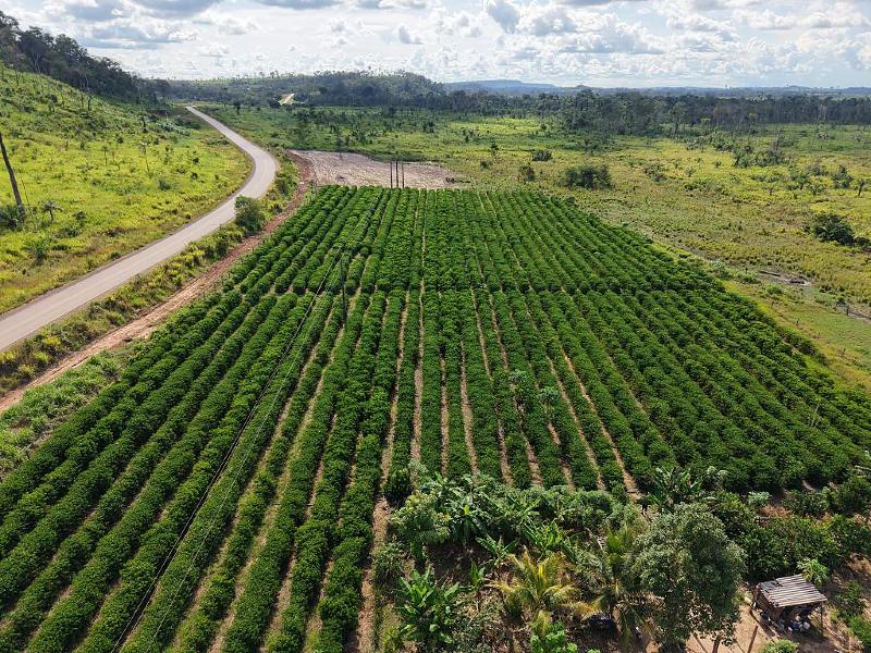 Famato pede Secretaria do Agro ao próximo governo em MT