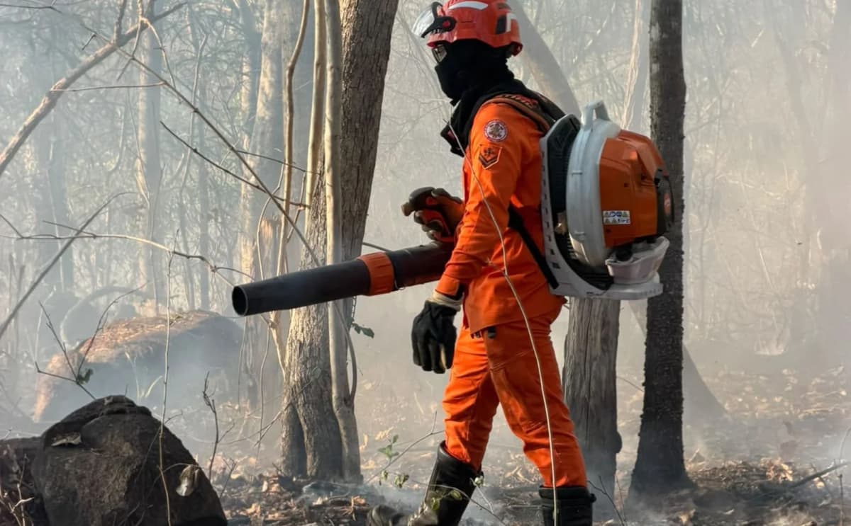 Fogo destrói pastagem e avança em zona rural de Mato Grosso
