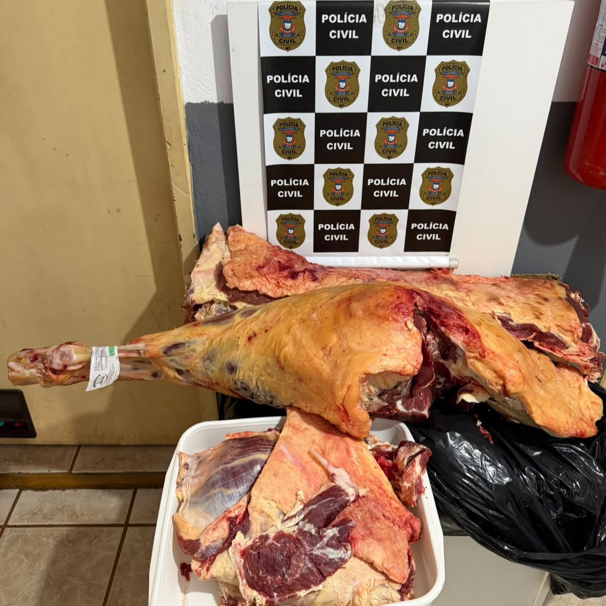 Funcionário é preso após furtar carne de frigorífico em MT