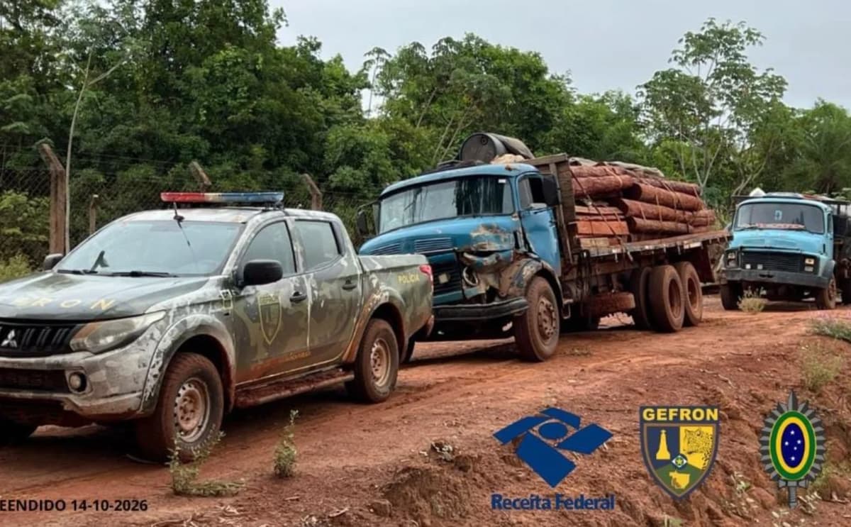 Gefron apreende madeira e caminhões em Pontes e Lacerda