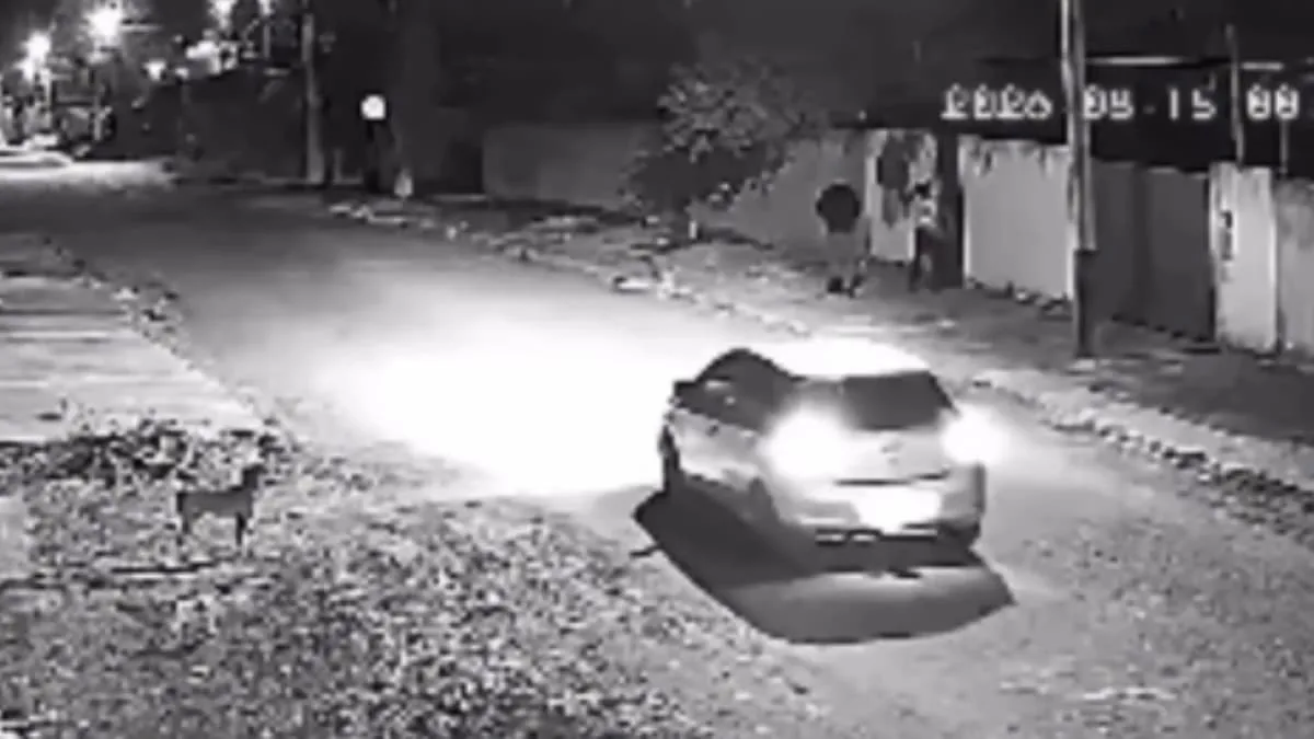 Gritos de moradora frustram invasão domiciliar em MT