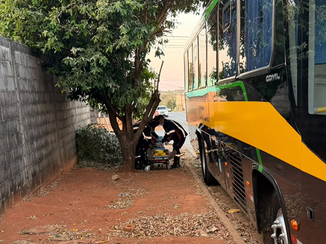 Homem dormindo sob galhos assusta moradores e mobiliza o SAMU em Sorriso