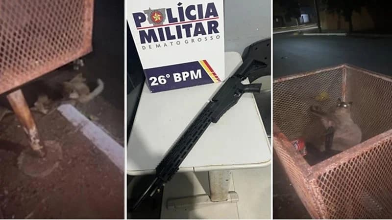Homem é preso após ferir gatos com tiros de airsoft em Nova Mutum