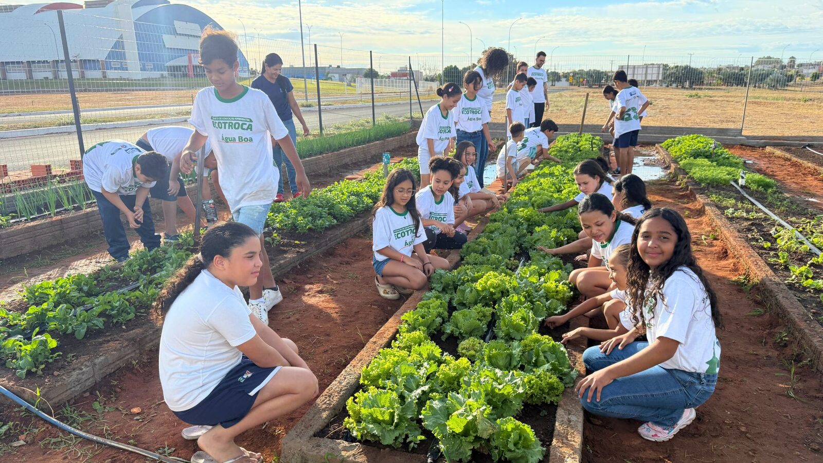 Horta escolar expande ensino de sustentabilidade em Água Boa