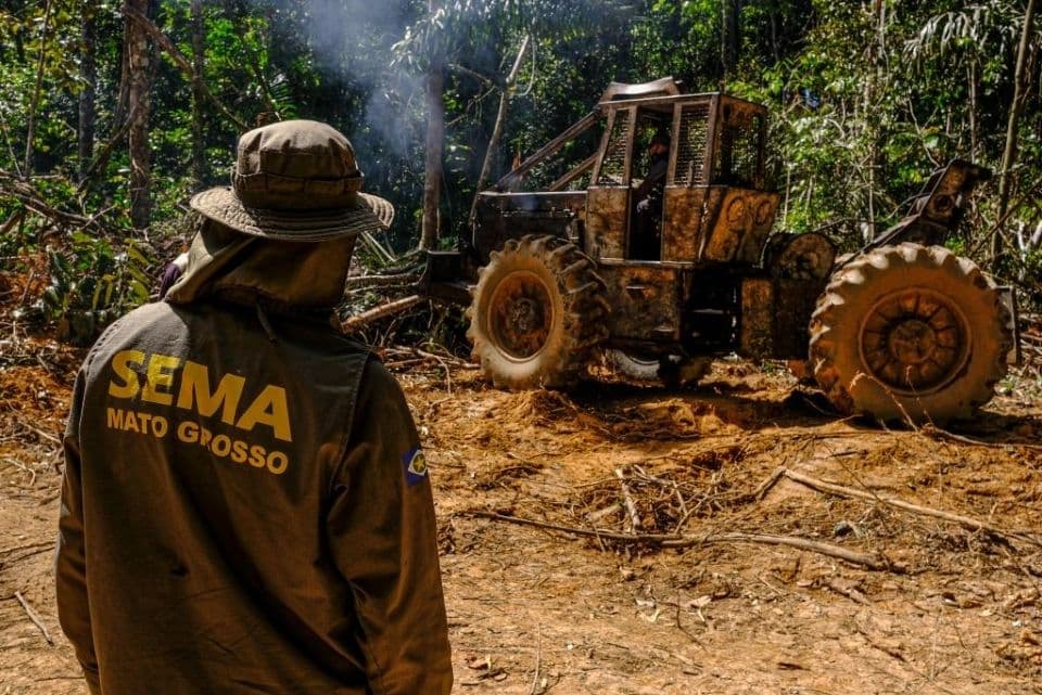 Proprietária contesta denúncia ambiental e apresenta versão sobre caso em fazenda de Confresa
