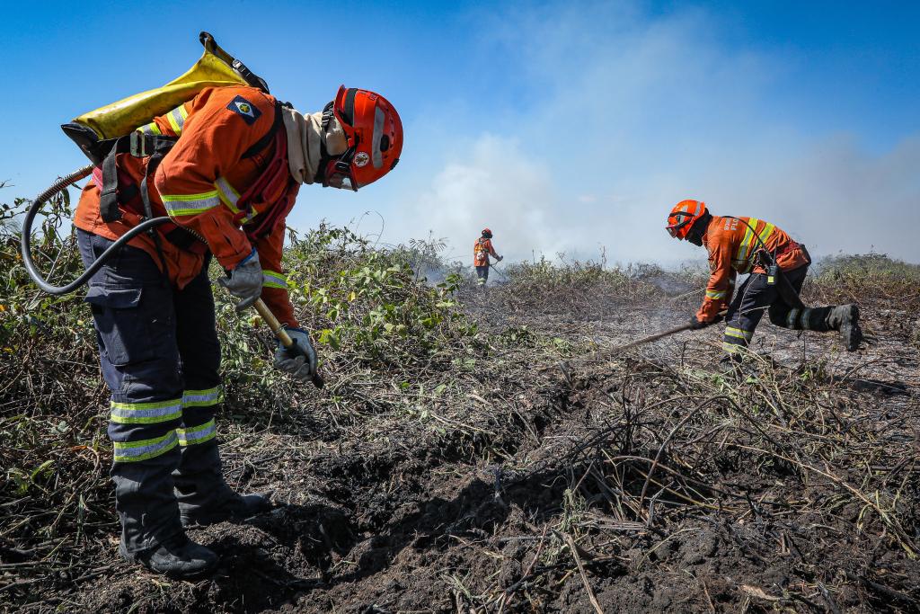 Incêndio em vegetação mobiliza bombeiros na MT-208 em Alta Floresta