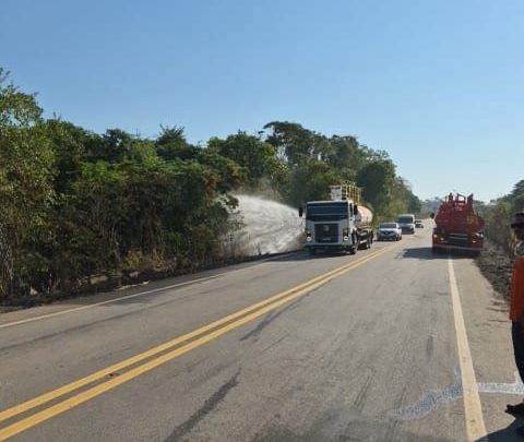 Incêndio em vegetação na MT-208 é contido em Alta Floresta