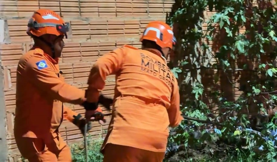 Jacaré é resgatado em rua de Cáceres, em MT