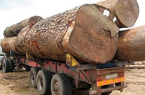 Justiça eleva indenização por morte de trabalhador em Nova Canaã do Norte