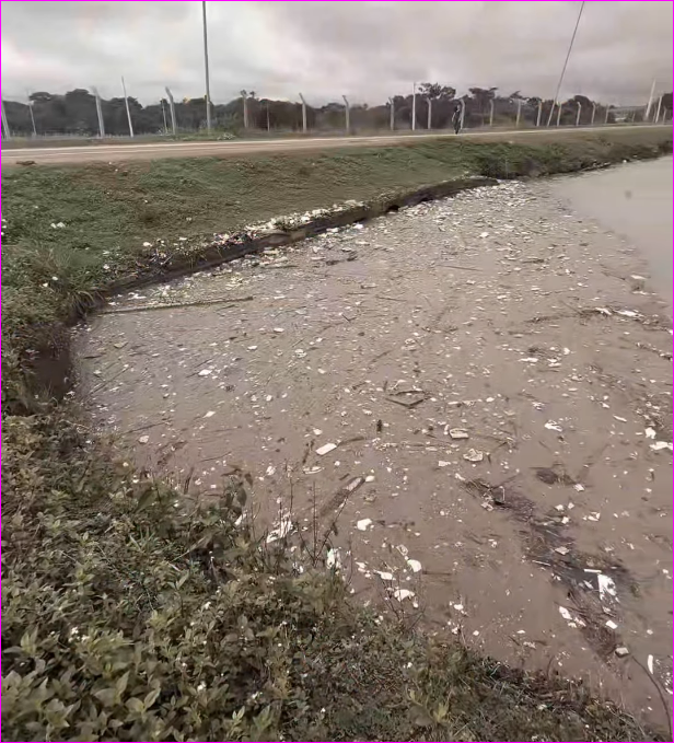 Lixo descartado nas ruas ameaça Lago de Primavera