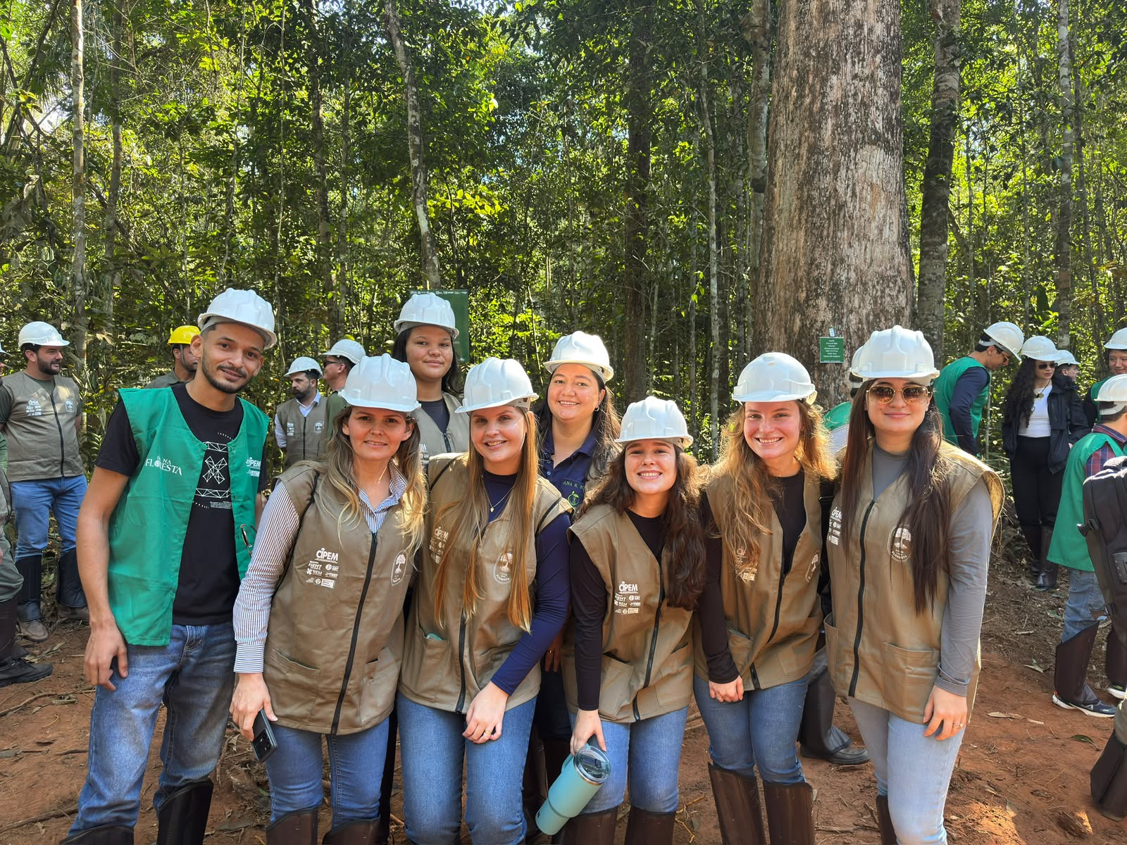 Manejo florestal aproxima estudantes da realidade em MT
