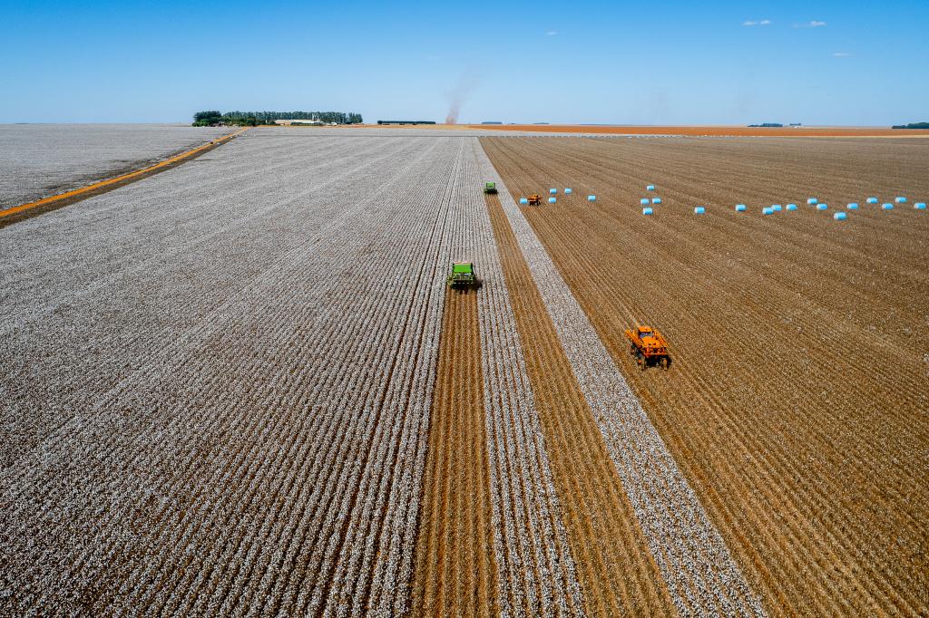 Mato Grosso bate recorde e mantém liderança no agro