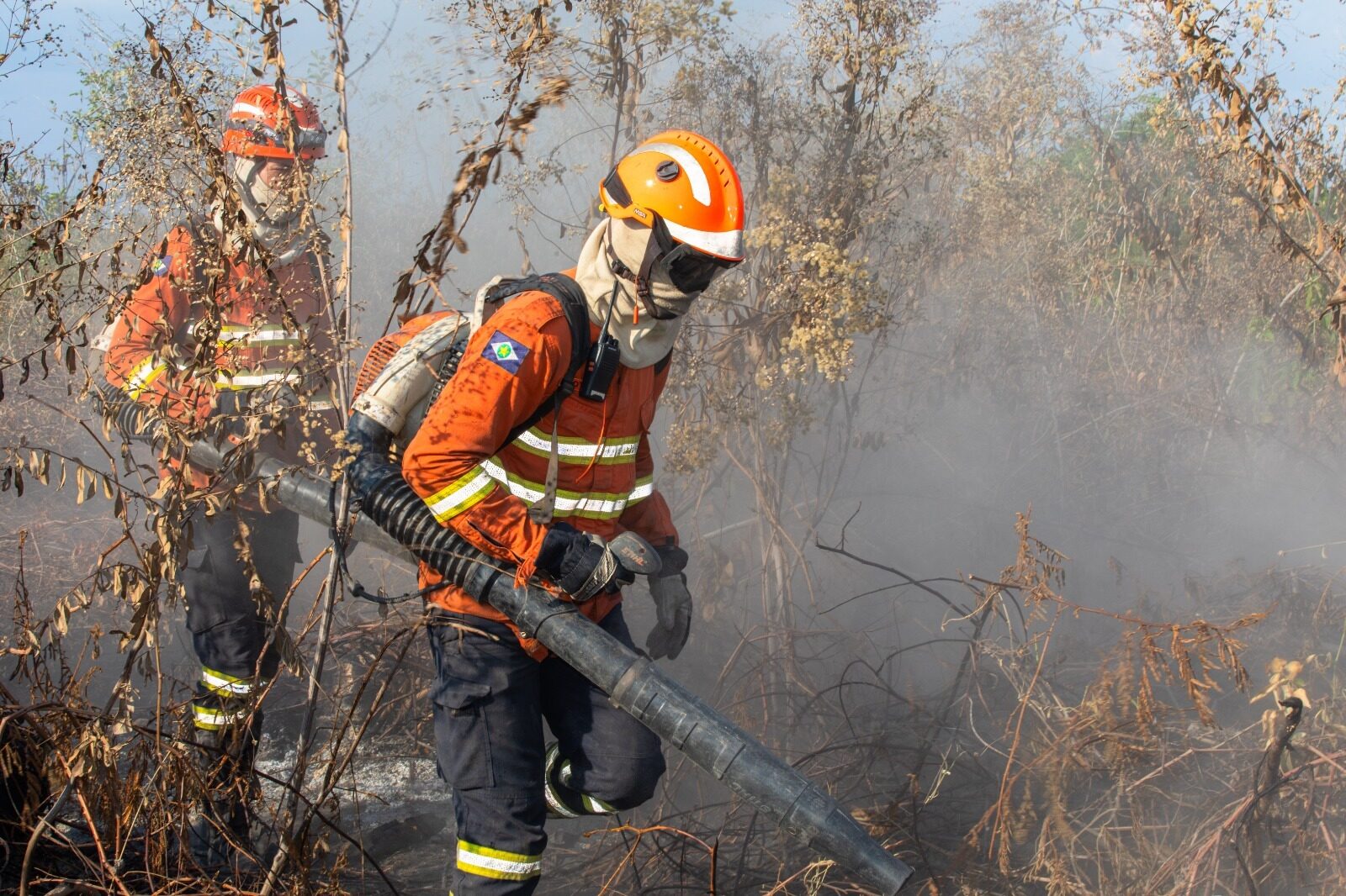 Mato Grosso registra queda de 60% em focos de incêndio em MT
