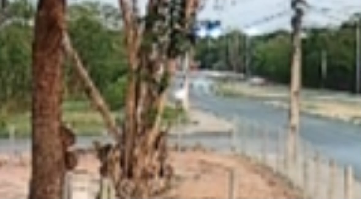Motociclista de 42 anos morre após colidir com poste em Cuiabá