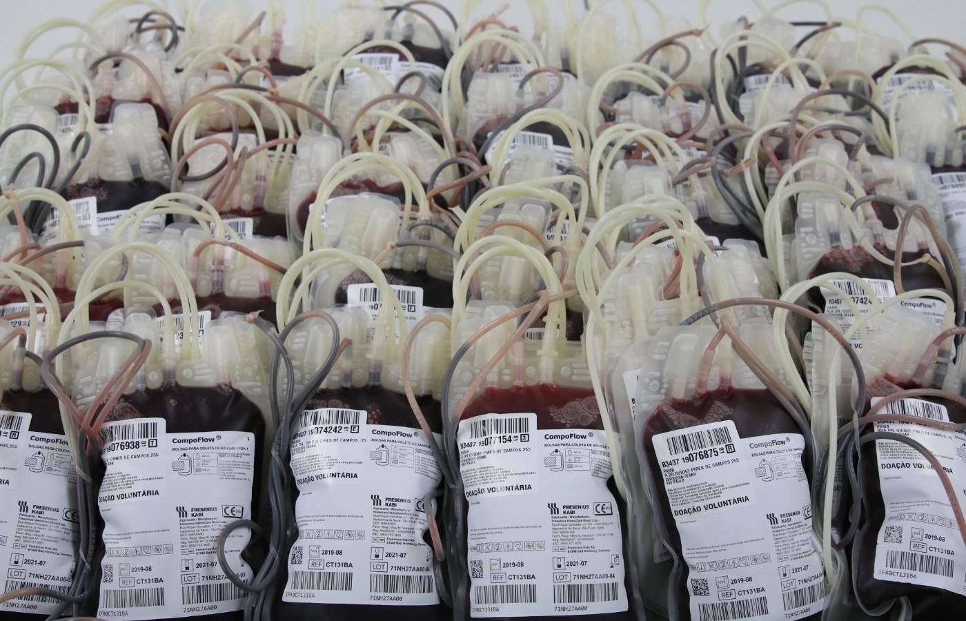 Novas regras de doação de sangue exigem adaptações em Mato Grosso
