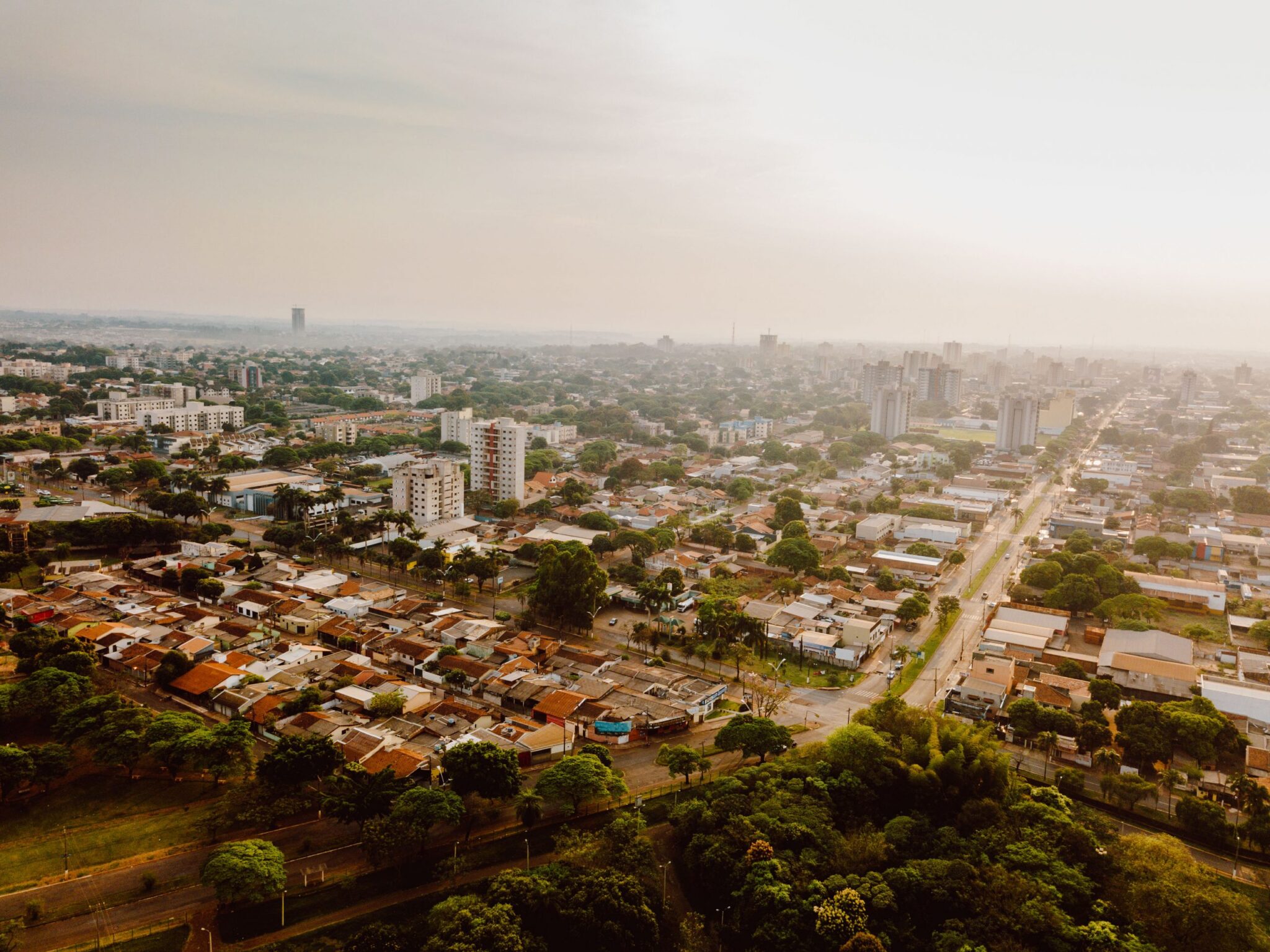 Plano de Arborização avança em Primavera do Leste