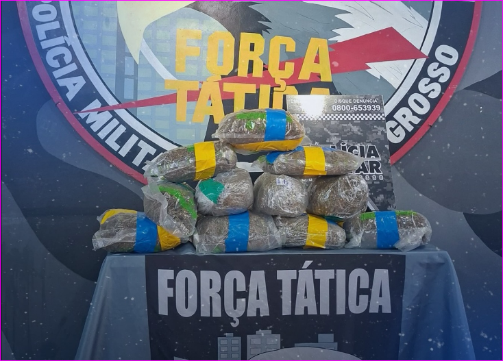 PM apreende mais de 5 kg de droga em ônibus em General Carneiro