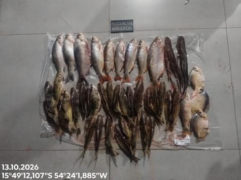 Polícia apreende 23 kg de peixes em Poxoréu, MT