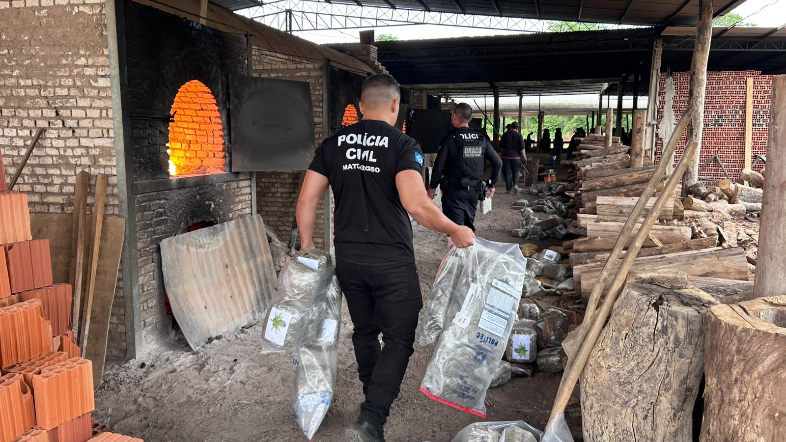 Polícia Civil destrói mais de 400 kg de drogas em Cáceres, MT