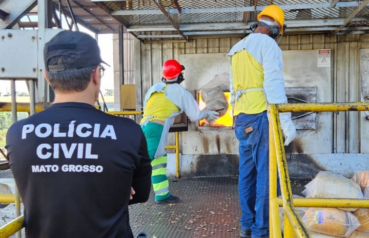 Polícia Civil incinera 220 quilos de drogas em Alto Araguaia MT