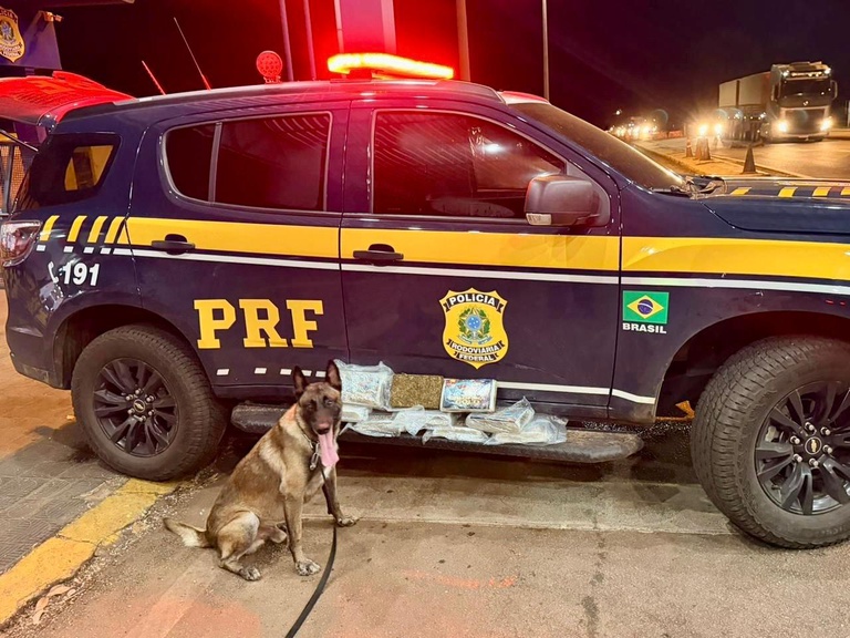 PRF apreende 10 kg de skunk em ônibus na BR-364