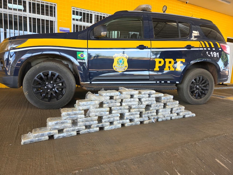 PRF apreende skunk escondido em carga de madeira em Primavera