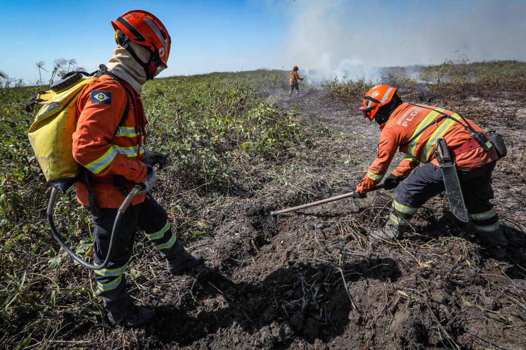 Primavera do Leste abre 6 vagas para brigadistas contra incêndios