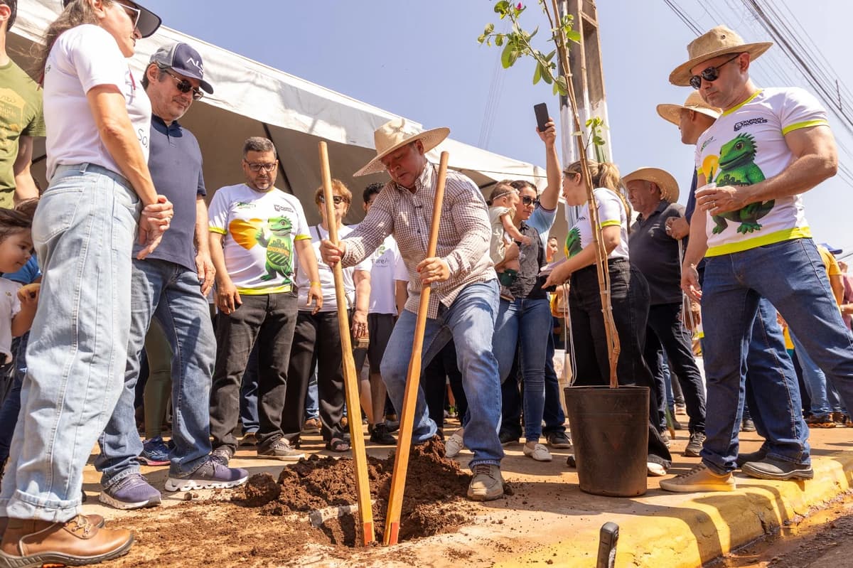 Rondonópolis ganha selo de Cidade Amiga das Árvores em Mato Grosso