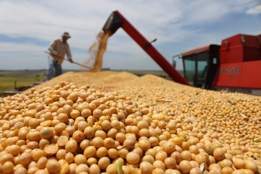 Soja atinge R$ 140,85 a saca em Mato Grosso e alcança topo