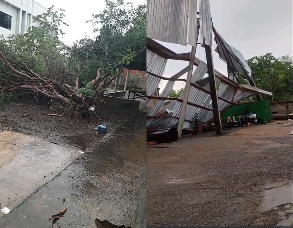 Temporal com ventania destrói galpão e derruba árvores em Nobres