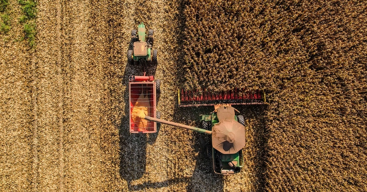 UPF/MT sobe em novembro, mas agro em MT mantém taxa antiga